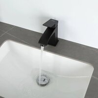 FRAP F1076-6 Image #13