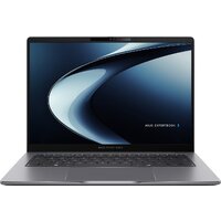 ASUS ExpertBook P3 P3405CVA-LY0252X