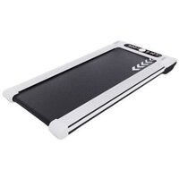 DFC YMCLUB T-LA1001MH