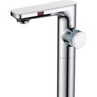 Berges Wasserhaus Morans 076003 (хром глянцевый)