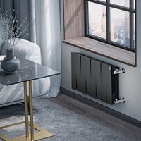 Royal Thermo PianoForte 300 Черный - 8 секций Image #5