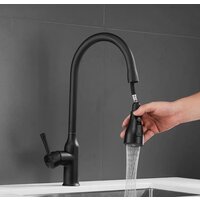 Shevanik S163H Image #18