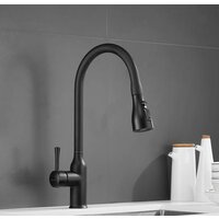 Shevanik S163H Image #23