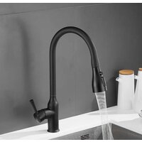 Shevanik S163H Image #4