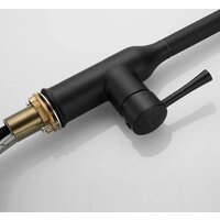 Shevanik S163H Image #32