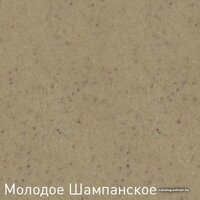 Zigmund & Shtain Platz 465 (молодое шампанское) Image #8