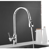 Shevanik S163 Image #20