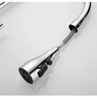 Shevanik S163 Image #32