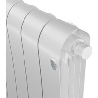 Royal Thermo Infinity 500 Bianco Traffico VR80 - 10 секций Image #2