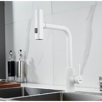 Shevanik S263C Image #2