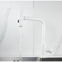 Shevanik S263C Image #16