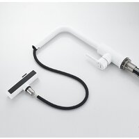 Shevanik S263C Image #21