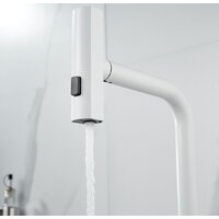 Shevanik S263C Image #4