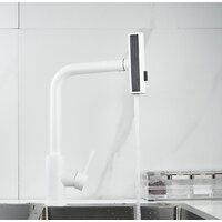 Shevanik S263C Image #17