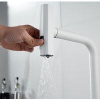 Shevanik S263C Image #6