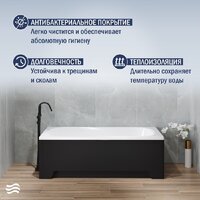 Lauter Sophia 170 21205170 (с ножками, черным подголов.,черным лиц. и торц.экраном) Image #5