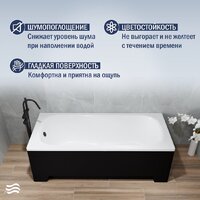 Lauter Sophia 170 21205170 (с ножками, черным подголов.,черным лиц. и торц.экраном) Image #3