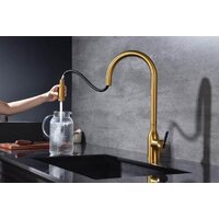 Paulmark Iniversal Un213880-BG (золото/брашированное золото) Image #6