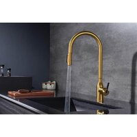 Paulmark Iniversal Un213880-BG (золото/брашированное золото) Image #10