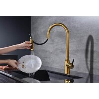 Paulmark Iniversal Un213880-BG (золото/брашированное золото) Image #7