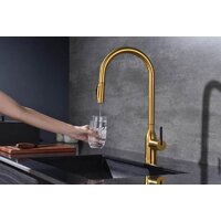 Paulmark Iniversal Un213880-BG (золото/брашированное золото) Image #9