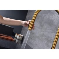 Paulmark Iniversal Un213880-BG (золото/брашированное золото) Image #4