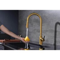 Paulmark Iniversal Un213880-BG (золото/брашированное золото) Image #8