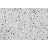 Gerhans C02 (серый) Image #6