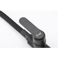 FRAP F4417-6 Image #2