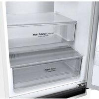 LG DoorCooling+ GA-B509MVQM Image #9