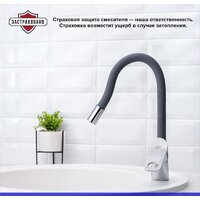 РМС SL137GY-016F Image #5