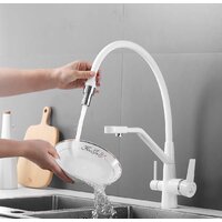 Rose R558C Image #12