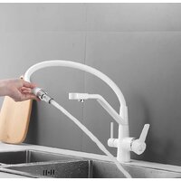 Rose R558C Image #13