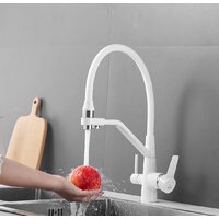 Rose R558C Image #10