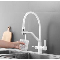 Rose R558C Image #11