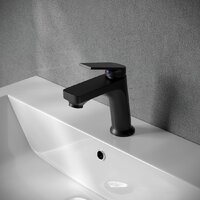 РМС PL7BL-001F Image #3