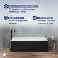 Lauter Bianca 150 21207150 (с каркасом, черным подголовником, черным лиц.экраном) Image #5