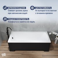 Lauter Bianca 150 21207150 (с каркасом, черным подголовником, черным лиц.экраном) Image #3