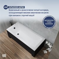 Lauter Estelle 160 21206060 (с ножками, черным подголов.,черным лиц. и торц.экраном) Image #5