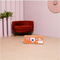 DFC Bounce Master JP07-C04-36H-Dino Image #18