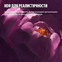 Яндекс ТВ Станция Бейсик QLED с Алисой 65 Image #12