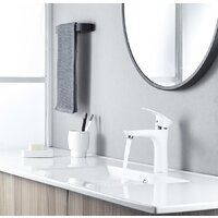 Shevanik S9801F Image #10