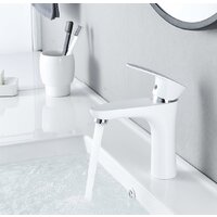 Shevanik S9801F Image #11