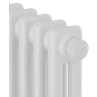 Royal Thermo Insignia C2180 - 12 секций RAL9016 (дубль) Image #4