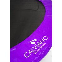 Calviano Inside Master Purple 252 см - 8ft (внутренняя сетка, с лестницей) Image #3