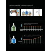 Potato P10304S-2 Image #6