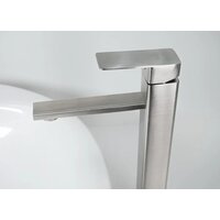 Potato P10304S-2 Image #2