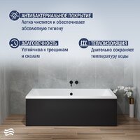 Lauter Oasis 155 21203055 (с каркасом, черным подголовником, черным лиц.экраном) Image #5