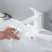 Shevanik S4401C Image #10