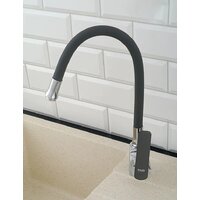 Potato P58238-19 Image #5